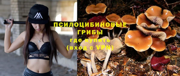 дживик Зерноград