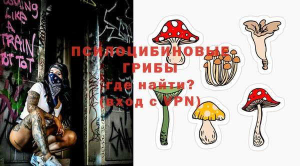 дживик Зерноград