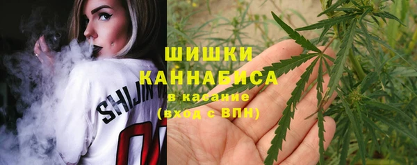 дживик Зерноград